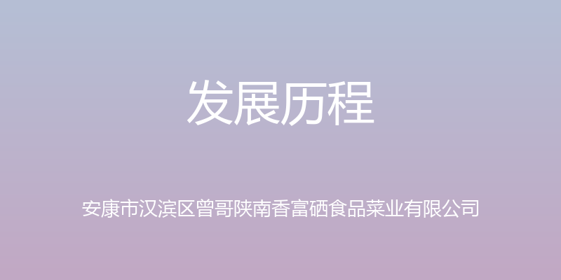 发展历程 - 安康市汉滨区曾哥陕南香富硒食品菜业有限公司